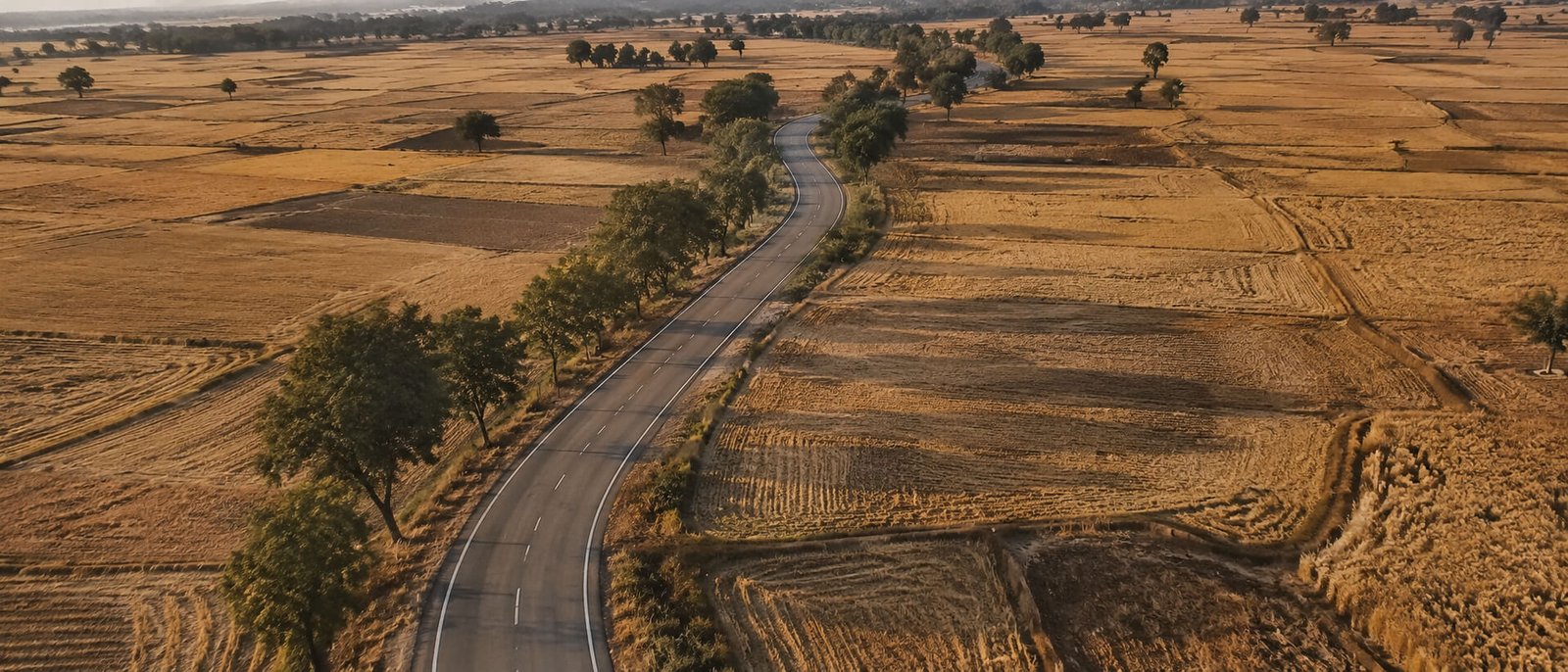 A single two-lane road curving through golden farmland seen from above at late afternoon