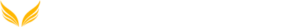 Vinay Mediratta Logo for Dark Background
